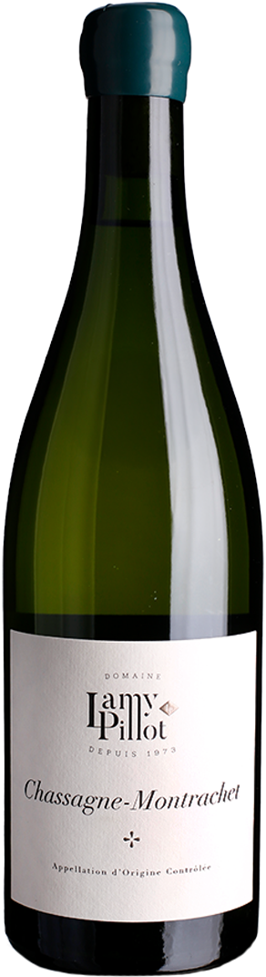 2008年Meursault Andre Morey Meursault 2023 | Pierre Morey | Burgundy​